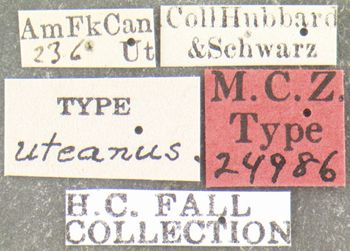 Media type: image;   Entomology 24986 Aspect: labels